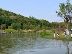 -东莞植物园
