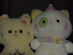 -可爱抓 COCO  GOTCHA(天津鹏欣水游城店)