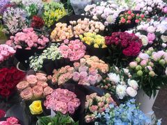 -双季花艺园艺市场(浦东店)