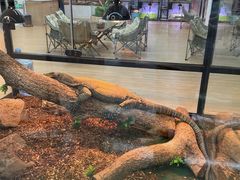 -深圳珠宝博物馆