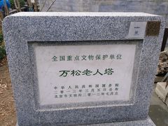 -万松老人塔