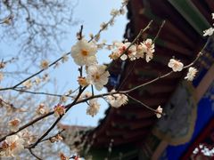 -开福禅寺