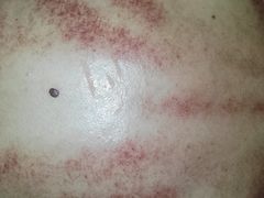 -新紫霞养生·影院足道·SPA(金山区店)