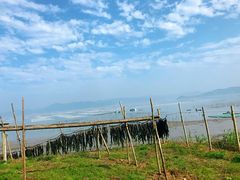 -北岐滩涂