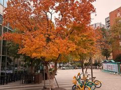 -漫咖啡(红唐店)