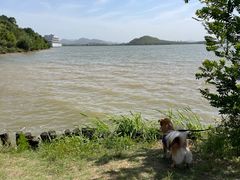 -池州市平天湖风景区
