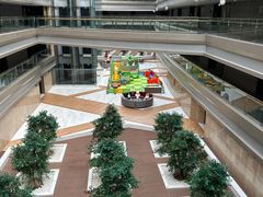 -南京禄口机场雅高铂尔曼大酒店