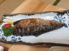 烤青花鱼-割烹酱子日本料理(弘基财富广场店)