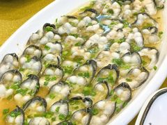 -呼吸森林·生态农庄农家乐私房菜