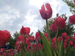 -长春公园(普阳街道)