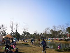 -夏河溪乡野公园