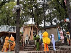 -沂蒙山旅游区云蒙景区(蒙山国家森林公园)