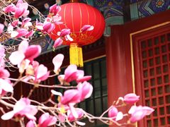 -潭柘寺景区