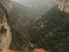 -黄花溪