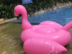 -嘉和K6温泉微度假