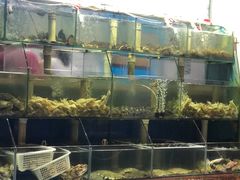 -来之顺海鲜菜馆·青岛菜(栈桥店)