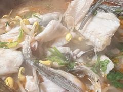 -一品鱻石锅鱼