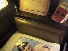 -武汉知音号