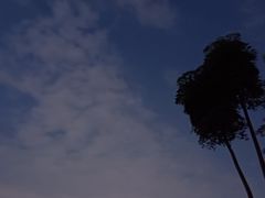 -晓港公园
