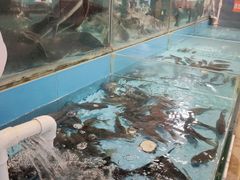 -饭怕鱼(阳光100店)
