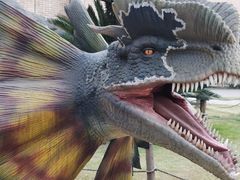 -自贡恐龙博物馆