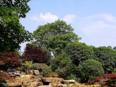 -铁山坪森林公园