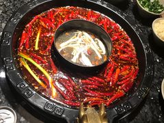 红白鸳鸯火锅-蜀大侠火锅(东园路店)