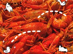 -海岛八号龙虾烧烤田鸡(蓝天路总店)