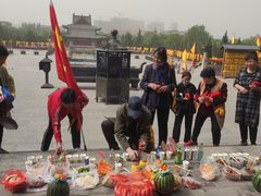 -大槐树寻根祭祖园