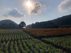 -广州市石门国家森林公园