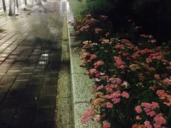 -南关北海公园