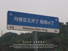 -丹樱生态园