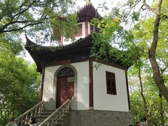 -上海佘山国家森林公园天马山园