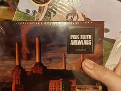 -独音唱片 Indie Music