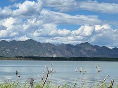 -野鸭湖国家湿地公园