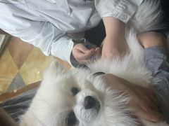 -北京佳信宠物医院