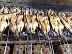 -新疆风味冷水鱼庄(友谊峰路店)