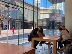 -Apple零售店(华贸购物中心店)