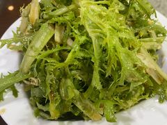 凉拌苦苣-来顺成饭庄