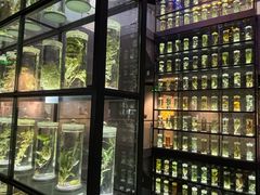 -广东中医药博物馆