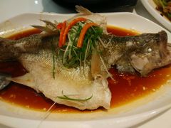 -至潮餐厅精致粤菜·活鲈鱼·走地鸡(珠江新城店)