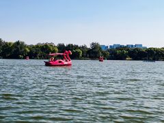 -大兴滨河森林公园