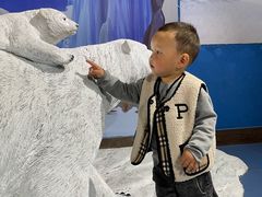 -合肥海洋世界