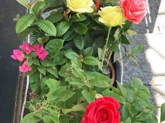 -大师傅金奖啤酒鱼(西街口总店)