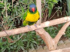 -南宫五洲植物乐园