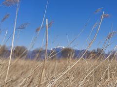 -野鸭湖国家湿地公园