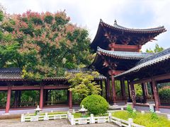 -祥源·阜阳生态乐园