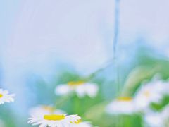 -龙美术馆西岸馆-停车场