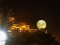 -巴倒烫陆派重庆火锅(南山店)