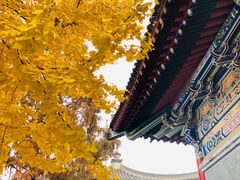 -法门文化景区